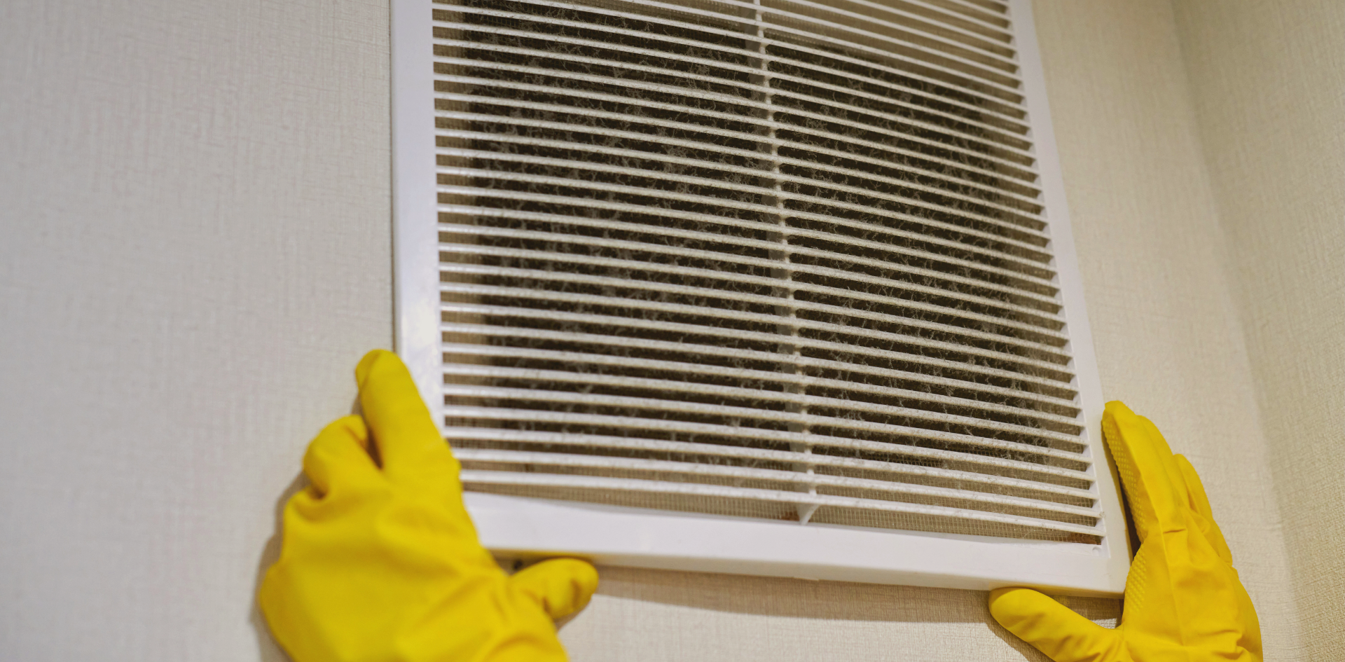 A Fresh Take on Indoor Air Quality