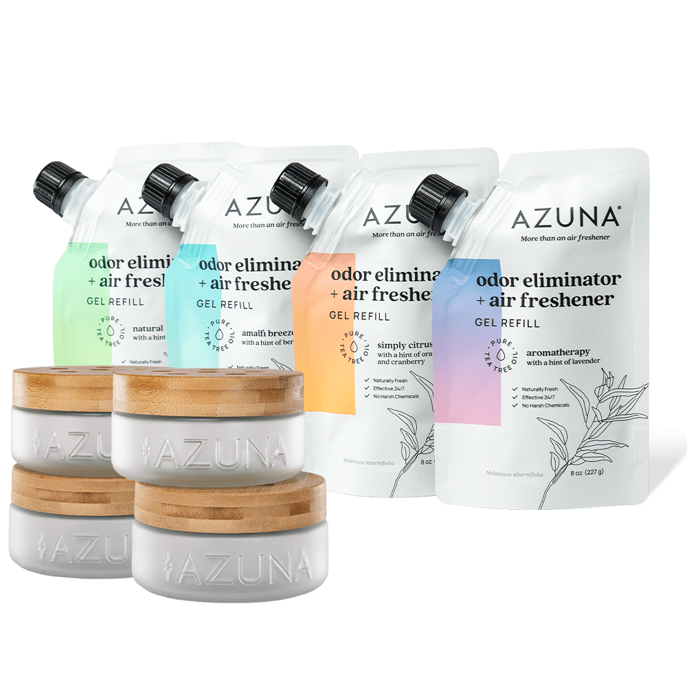 Luxe Glass Whole Home Variety Kit Home & Garden