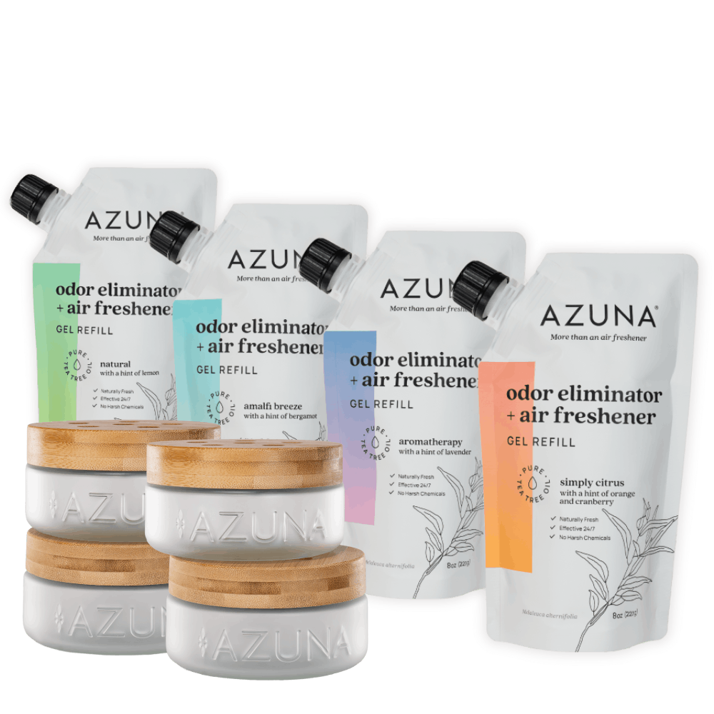 Luxe Glass Whole Home Variety Kit Home & Garden