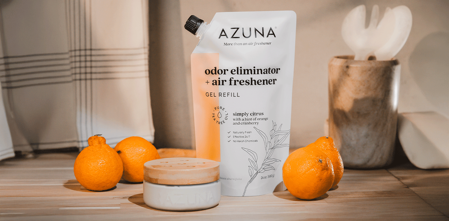 How to Find an Effective Home Odor Eliminator