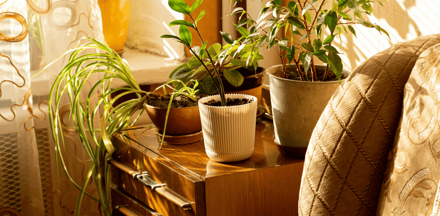 The Best Eco-Friendly Surface Cleaners: Our Plant-Powered Picks