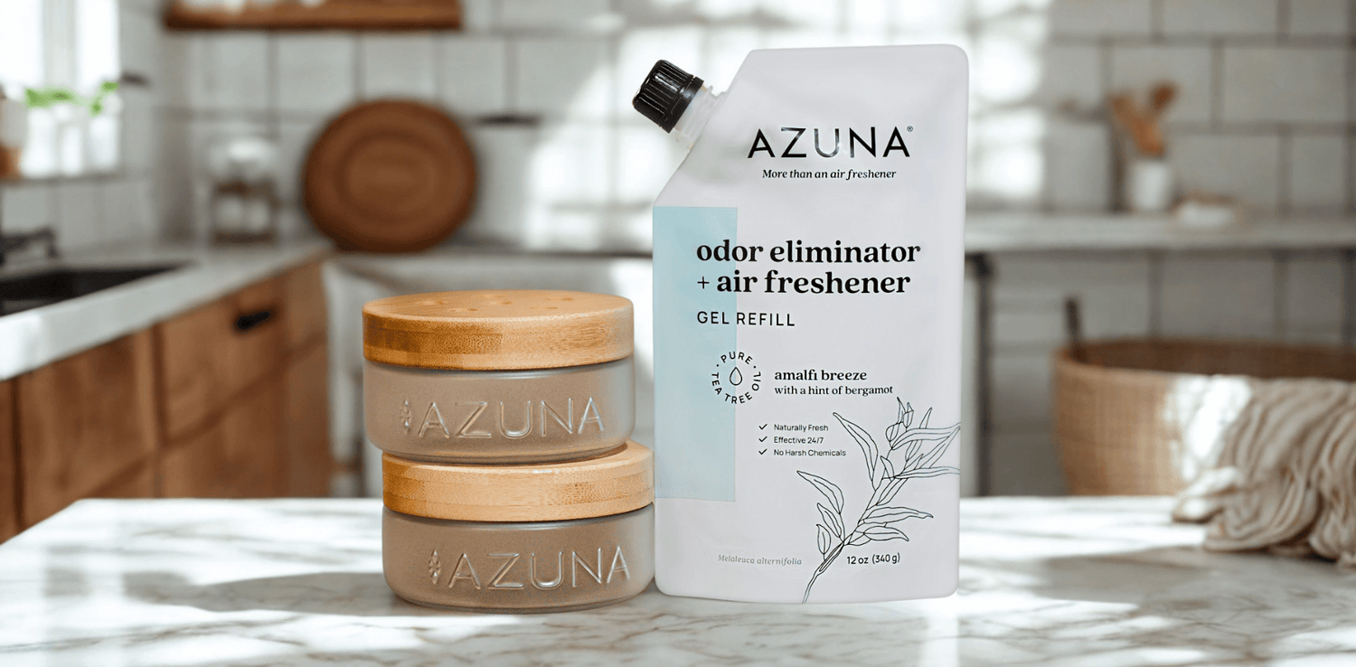 Choosing the Best Air Freshener for Your Home