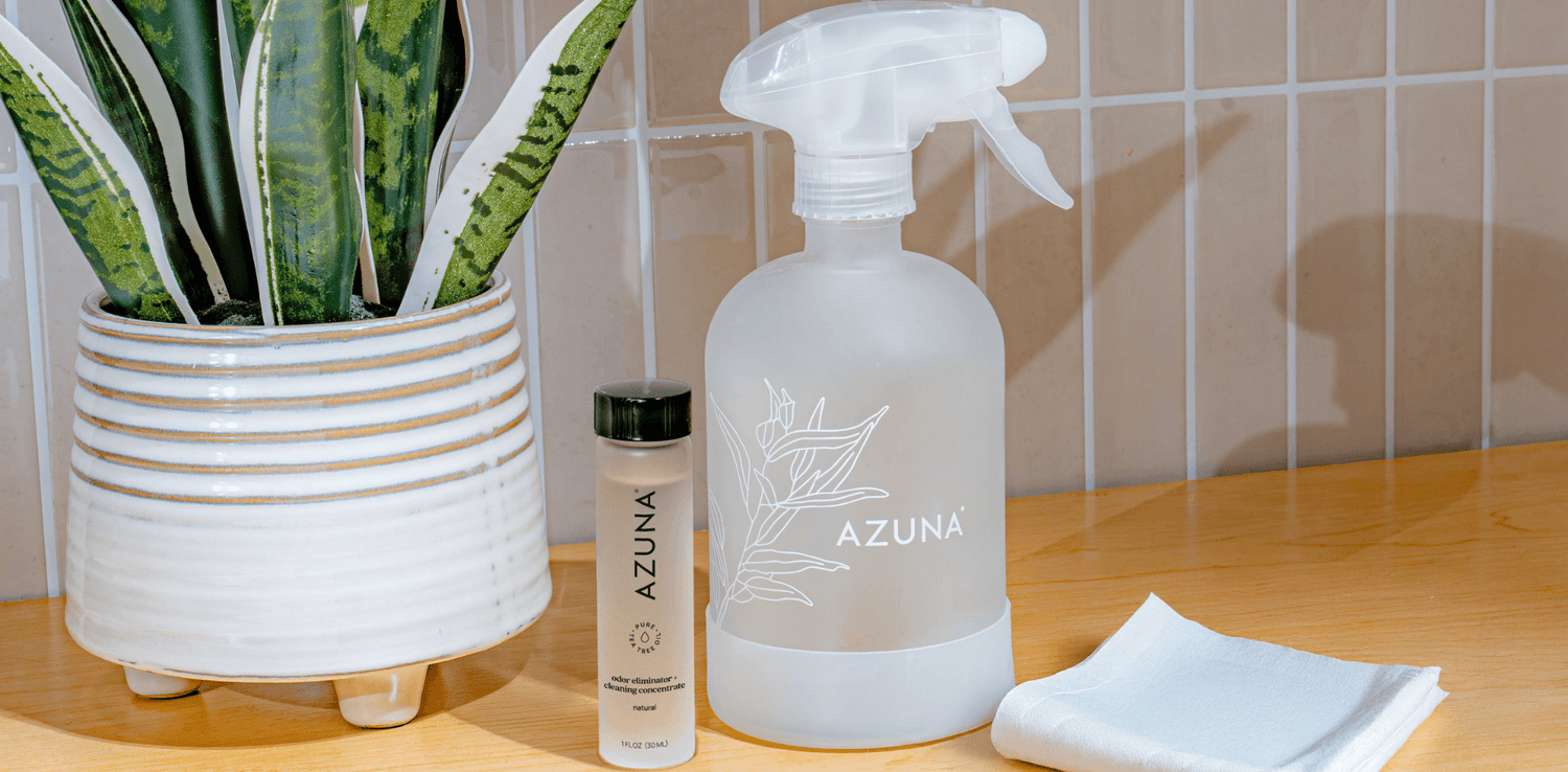 How To Eliminate Environmental Allergies This Spring