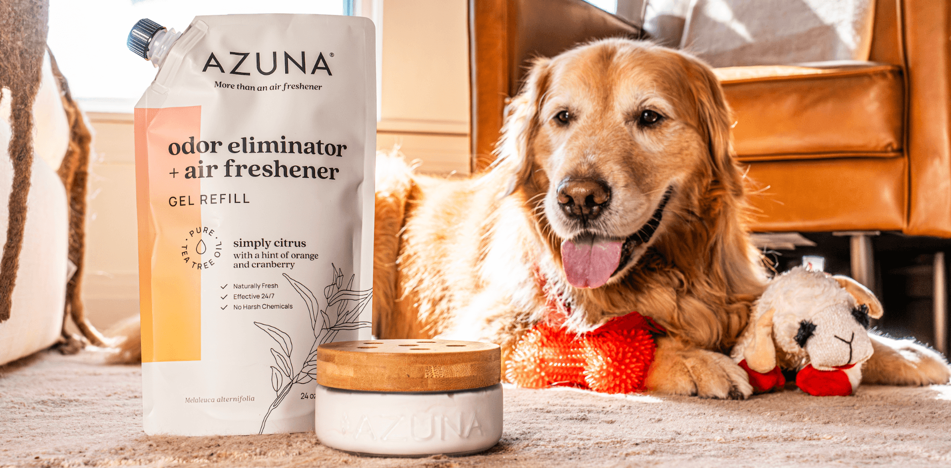 The Multi-Pet Playbook: How to Eliminate Household Pet Odors