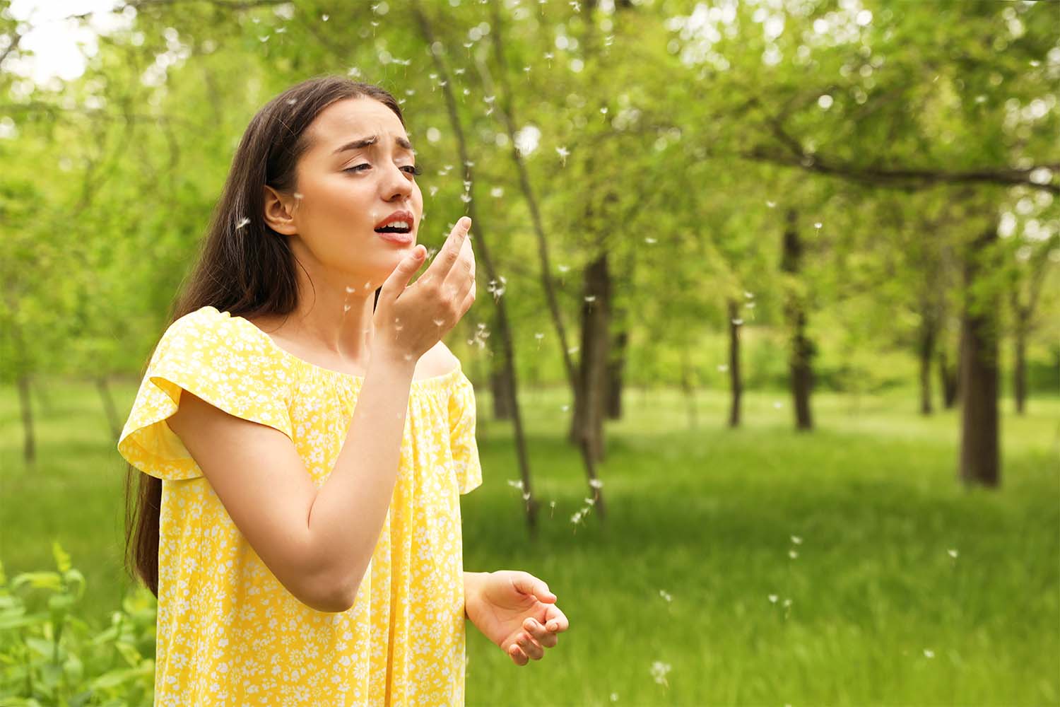 How To Eliminate Environmental Allergies This Spring – Azuna Air Purifier