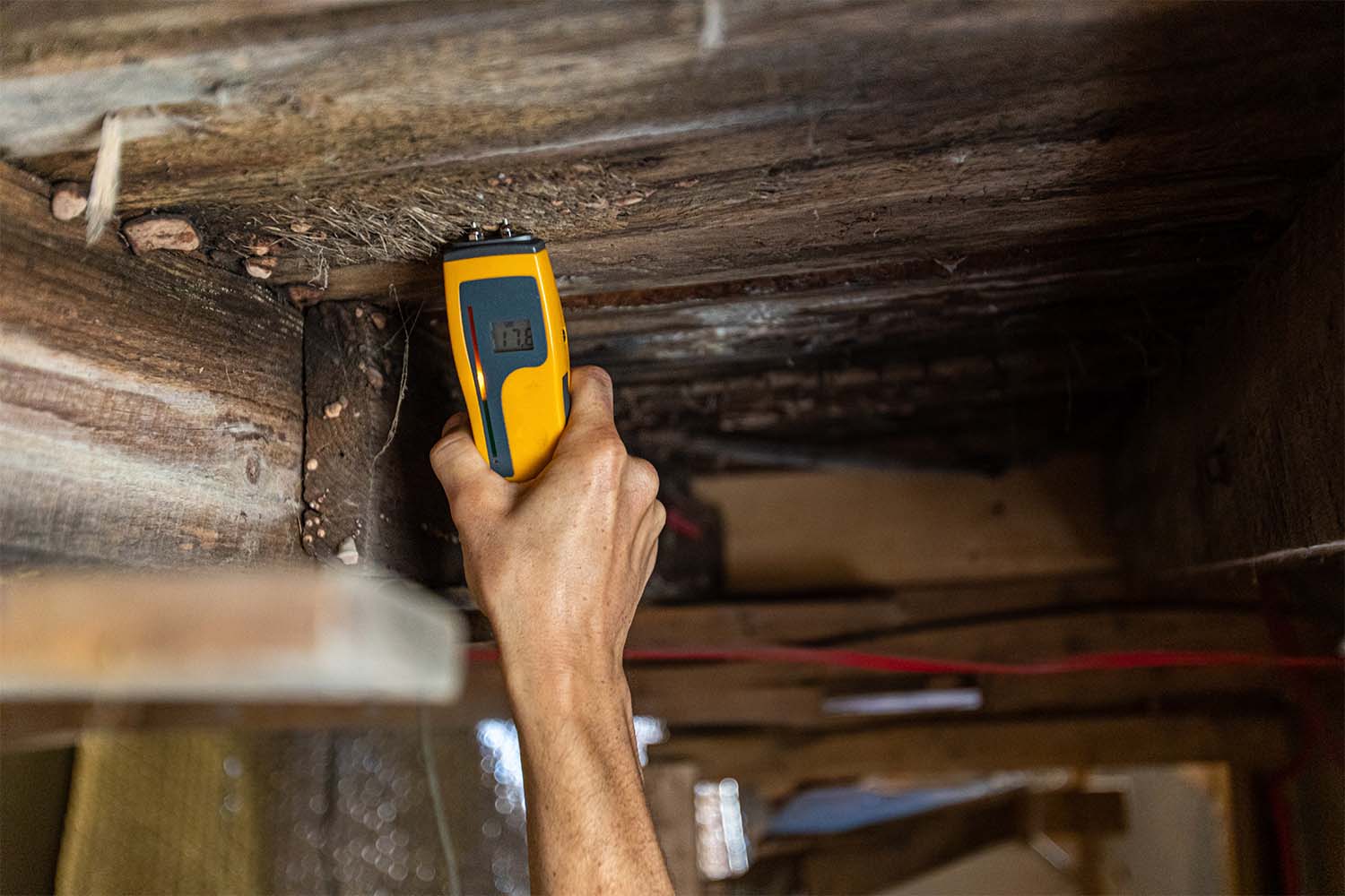 What Are Signs of Mold in Your House: How To Identify & Eliminate It