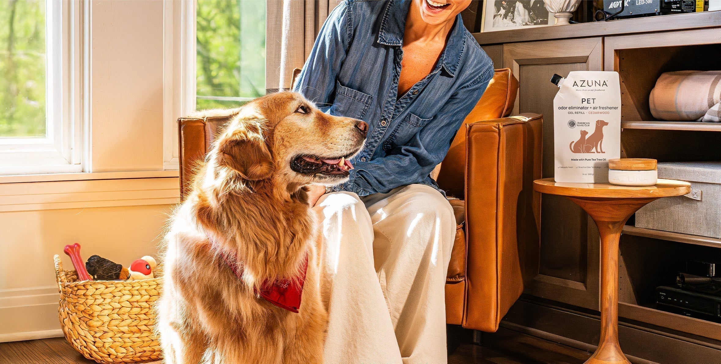 Easy Carpet Cleaning Tips to Eliminate Pet Odors for Good