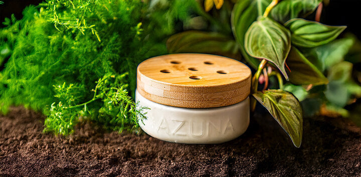 Eco-Nomics: Seven Sustainable Habits for Big Impacts