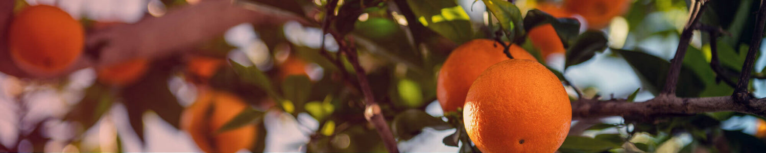 Citrus