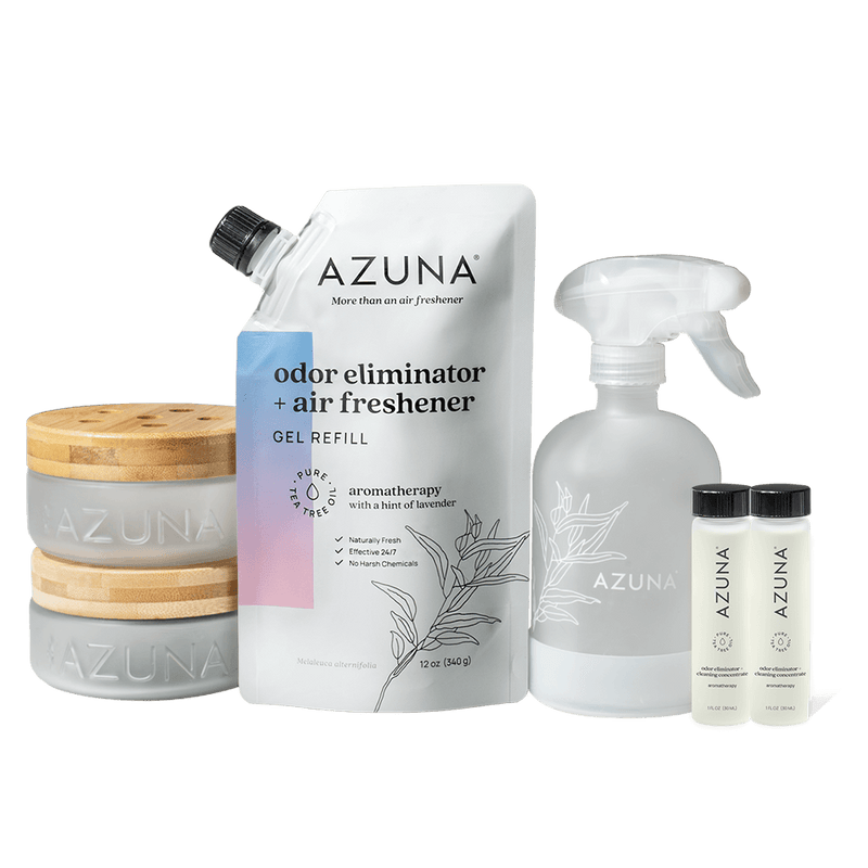 best air freshener to get rid of cigarette smoke smell Smoke Odor Eliminators