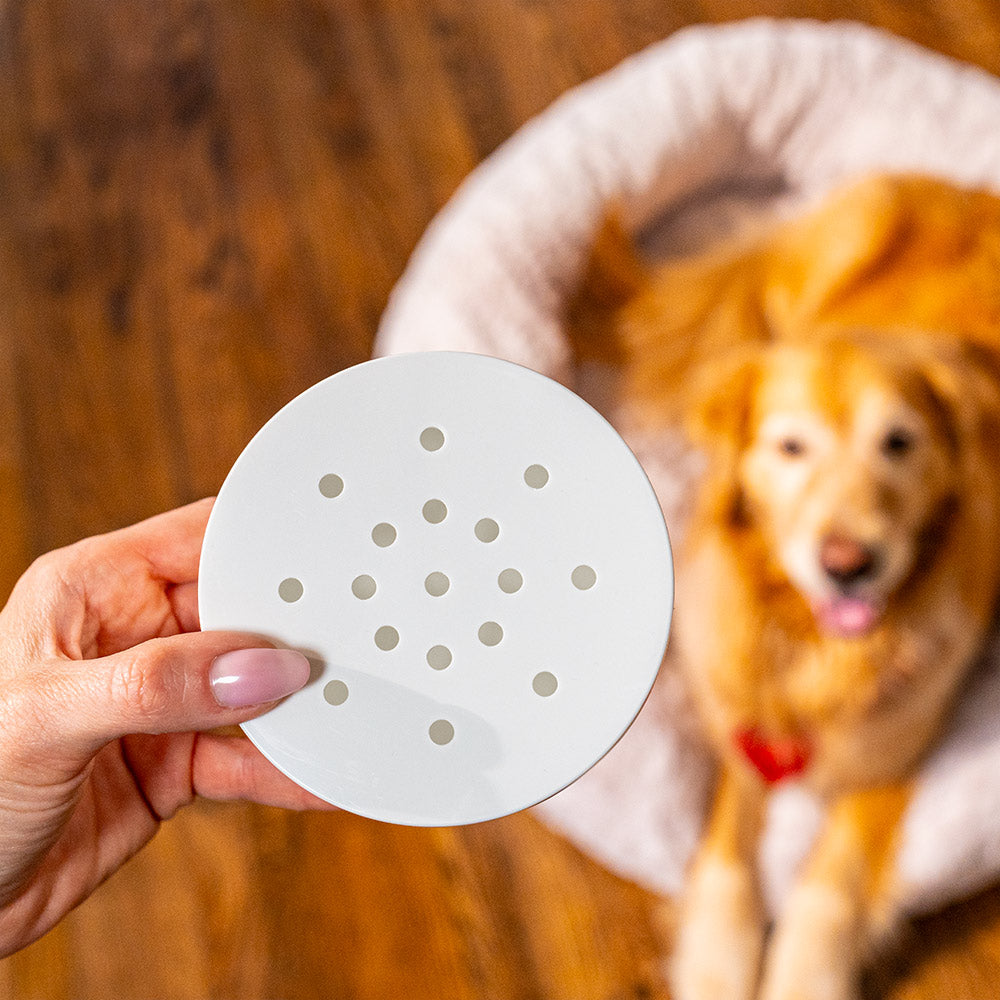 Pet Odor Eliminator Starter Kit