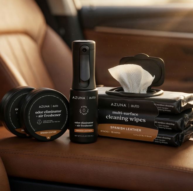 Auto odor elimination: