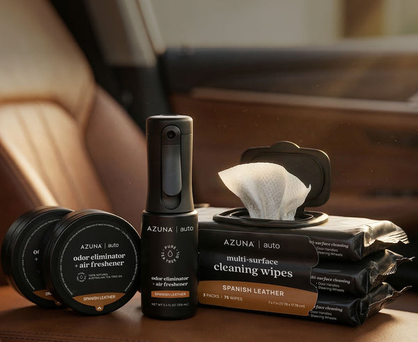 Car Air Fresheners