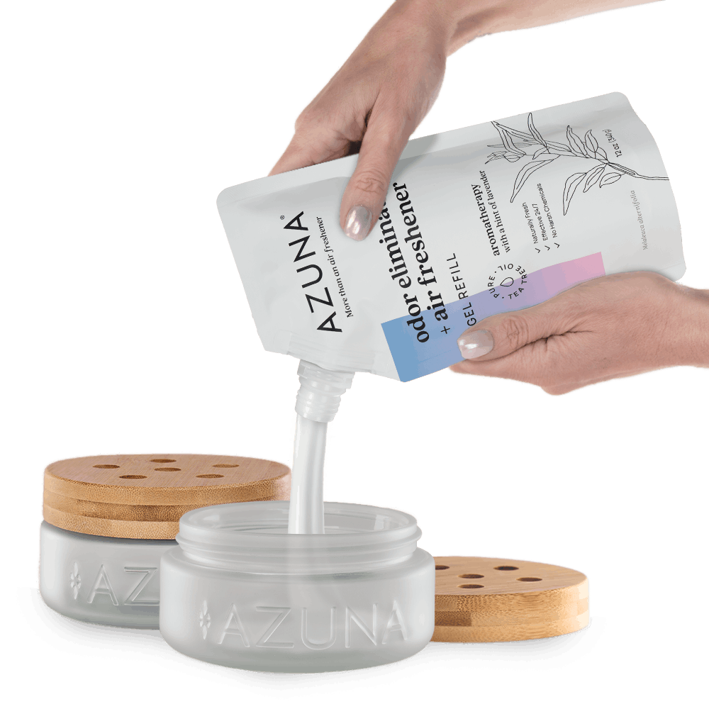 Luxe Glass Apartment Kit Home & Garden