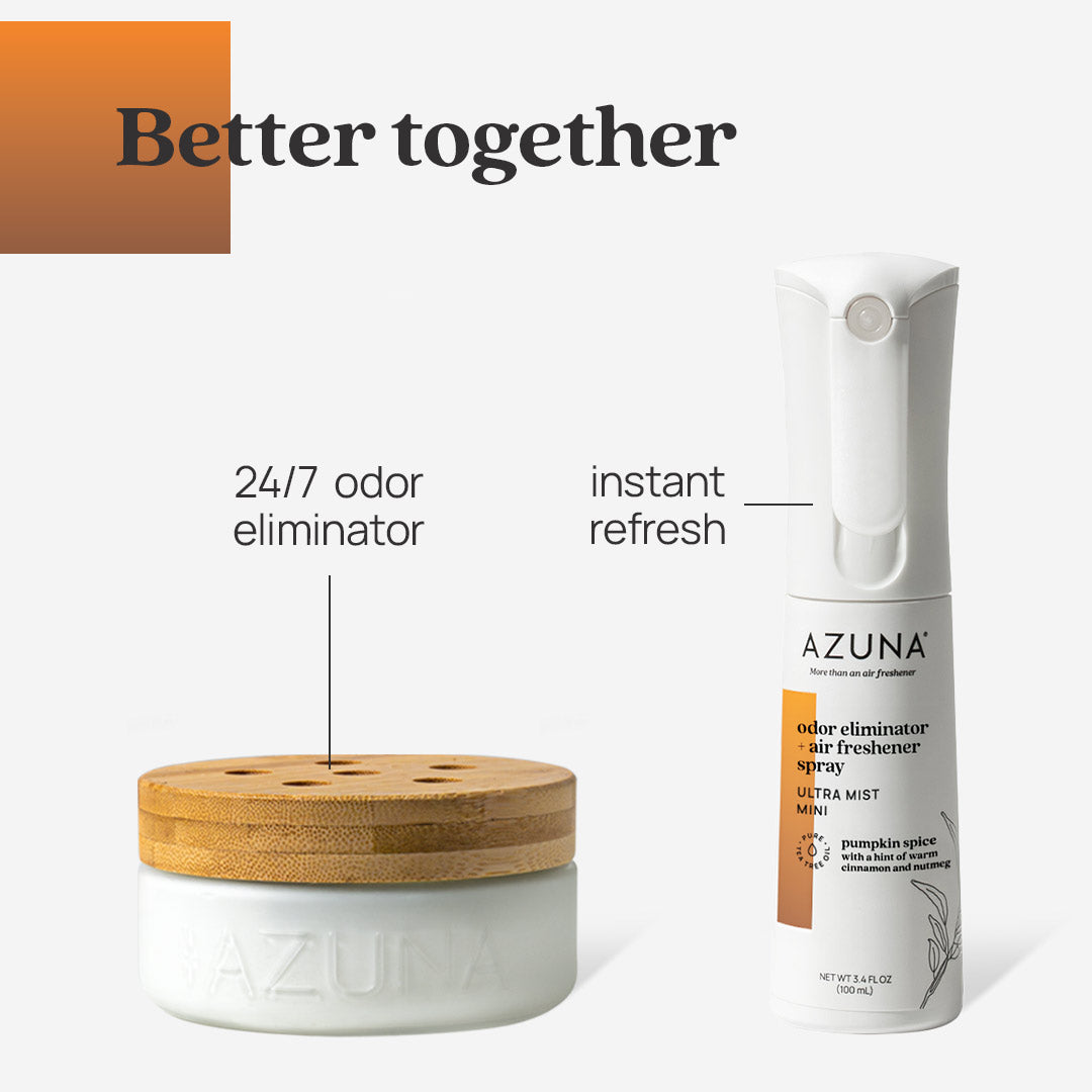 Ultra Mist Mini Odor Eliminator + Air Freshener Room Spray