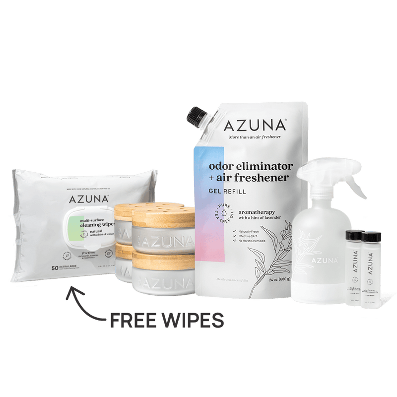 air freshener for cigarette smell Smoke Odor Eliminators