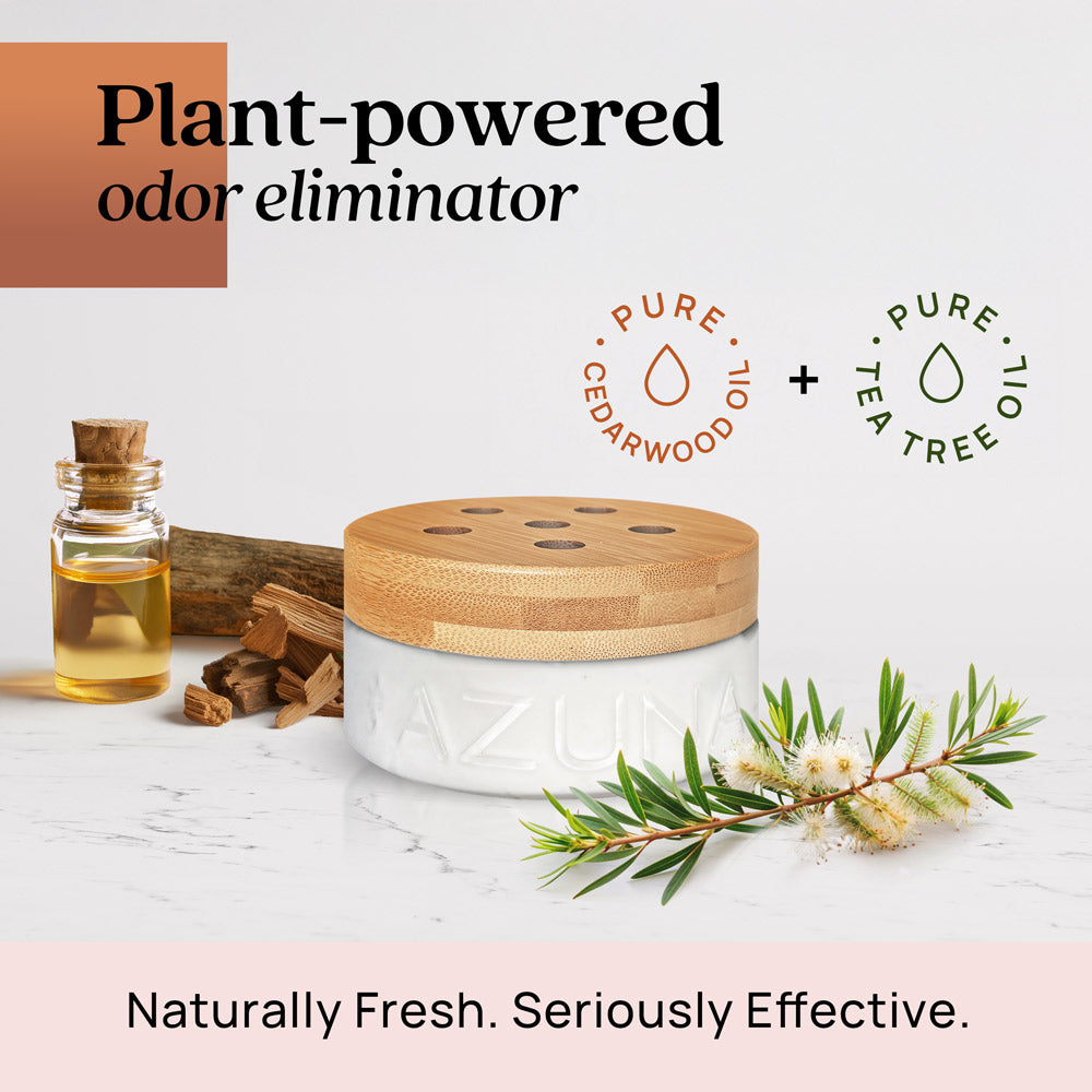 Luxe Glass Pet Odor Eliminator Starter Kit