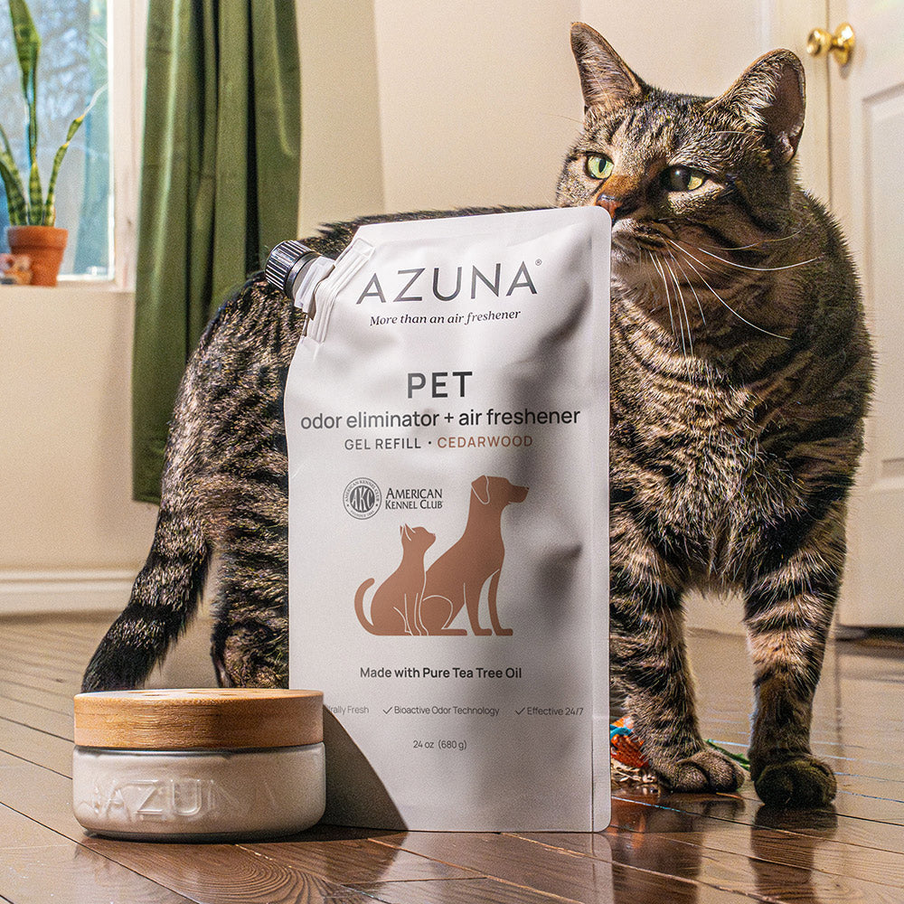 Pet odor elimination: