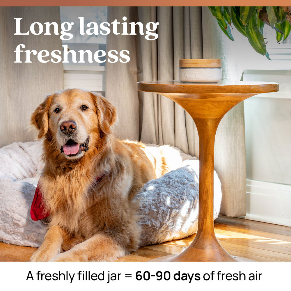 Luxe Glass Pet Odor Eliminator Starter Kit