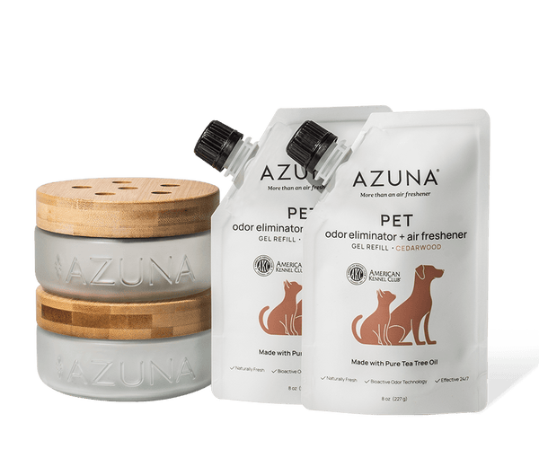 Luxe Glass Air Freshener Starter Kit