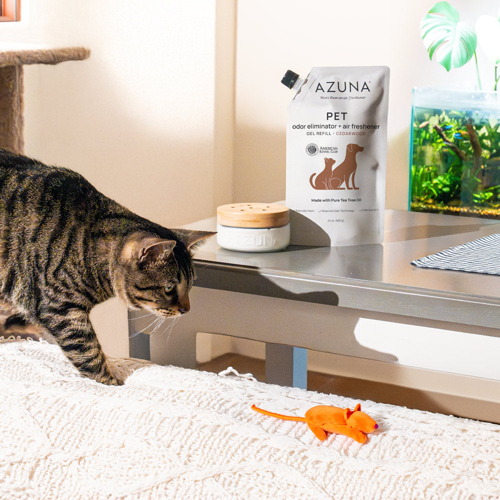 Pet Odor Eliminator Starter Kit