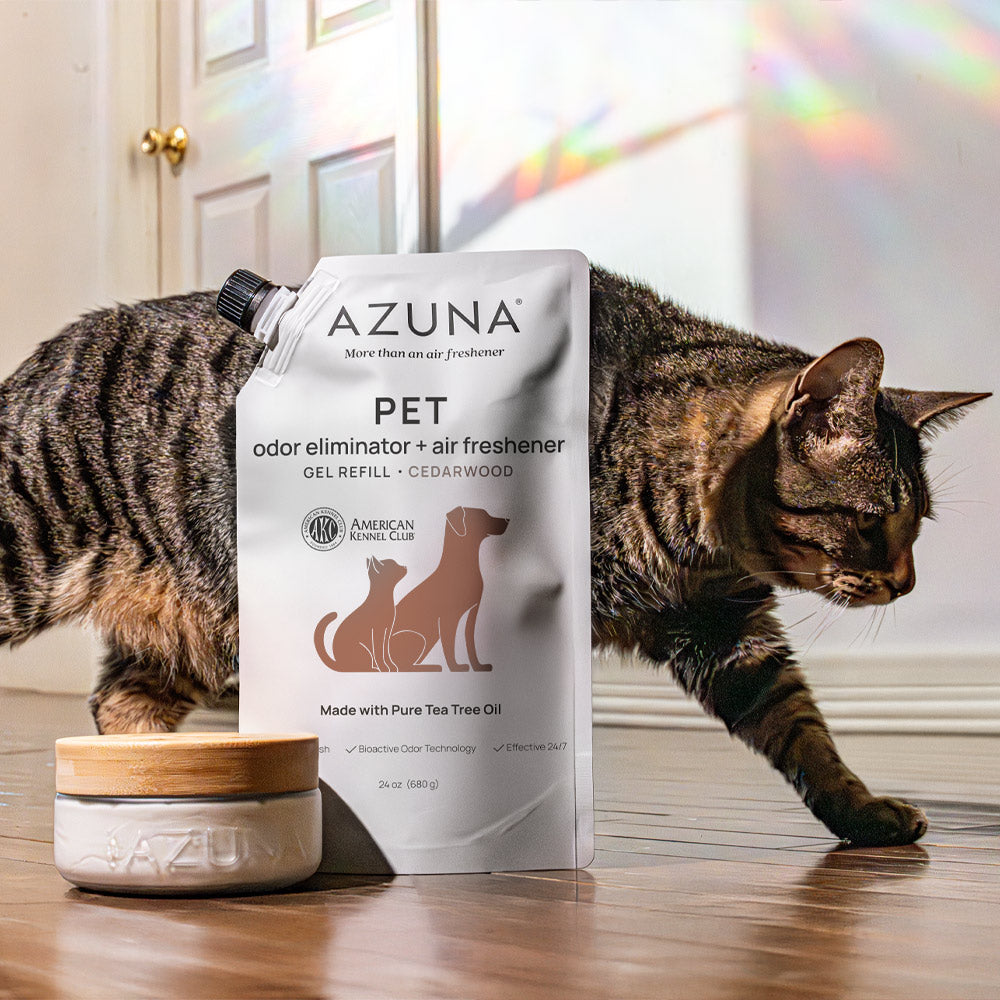 Luxe Glass Pet Odor Eliminator 4 Room Kit