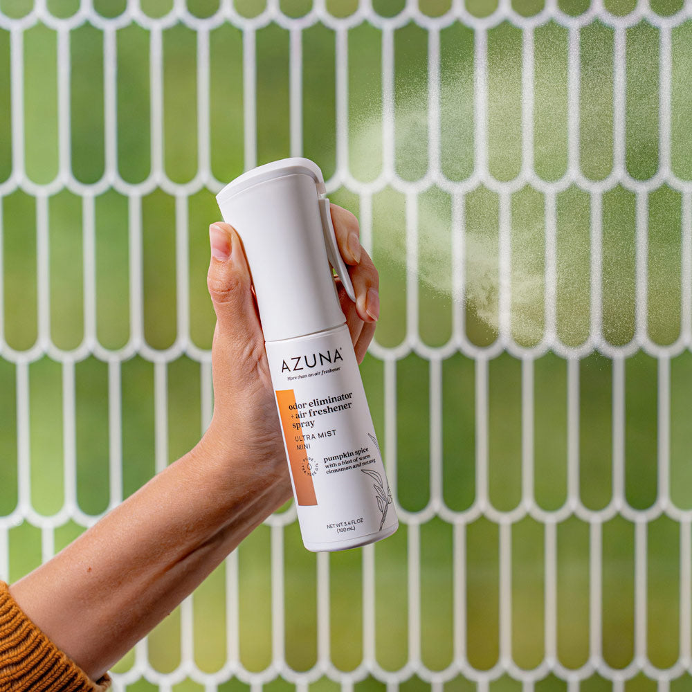 Ultra Mist Mini Odor Eliminator + Air Freshener Room Spray